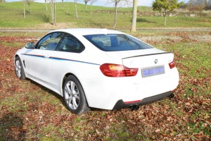 Eisenmann Duplex Sportuitlaat voor de BMW 428i type F32 4x Ø76mm rond